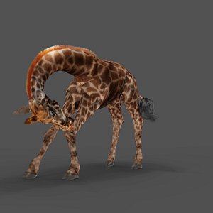 3D Fur Giraffe Rigged and Animation in Blender model