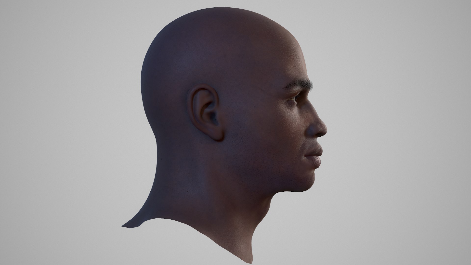 3D Male Head - 04 Update model https://p.turbosquid.com/ts-thumb/QK/n2XVcz/t7/screenshot002/png/1665660657/1920x1080/fit_q87/ac6ed1c28c486e495408ec06396d8e6e9ad8106a/screenshot002.jpg