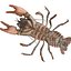 LAGOSTA CAMARÃO LAGOSTA LAGOSTA CAMBAROIDE JAPONICUS
