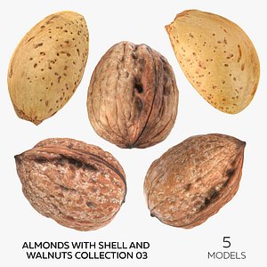 Almonds With Shell and Walnuts Collection 03 - 5 models 3D