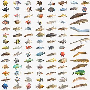 100 Fish Sea Creatures Collection v4