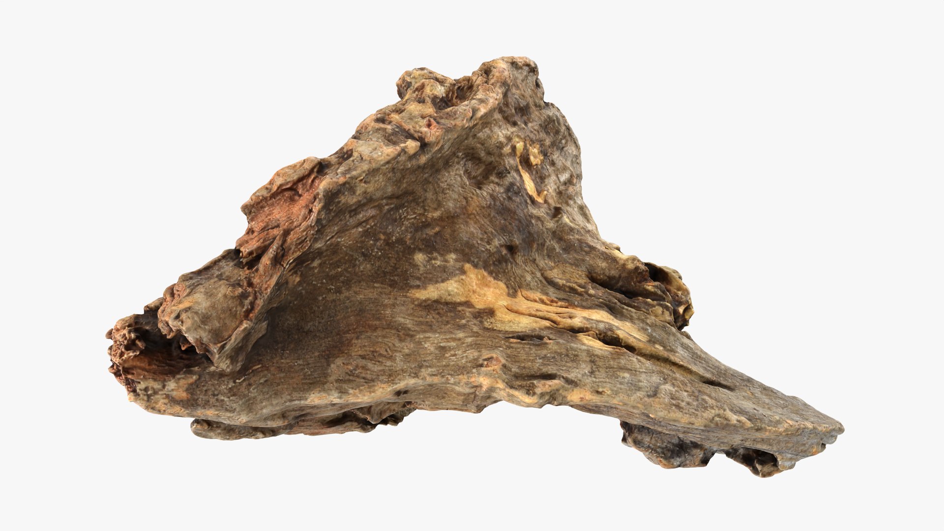 3D Tree Trunk Piece Collection model https://p.turbosquid.com/ts-thumb/QL/3TfAgt/2M/treetrunkpc04_0001/png/1765567059/1920x1080/fit_q87/faf018abdf00338da60b713d2a34f352b38b61cf/treetrunkpc04_0001.jpg