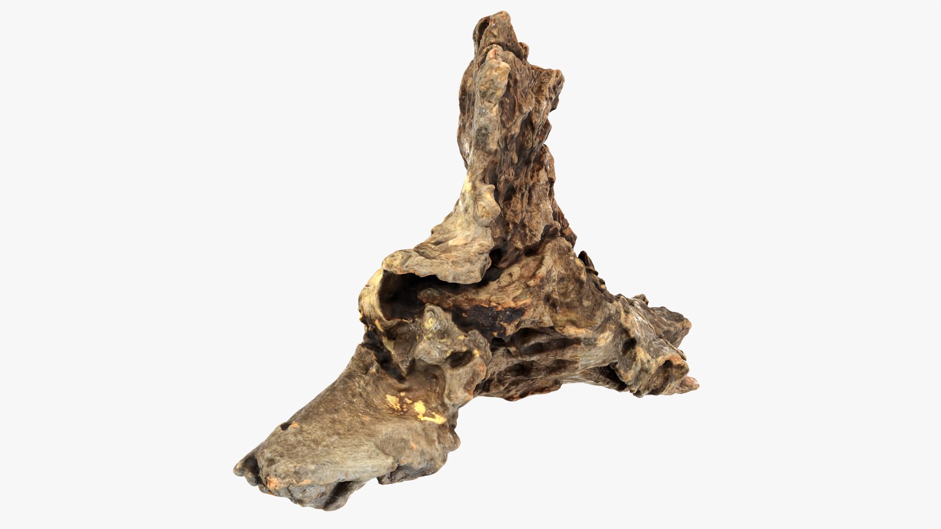 3D Tree Trunk Piece 04 model https://p.turbosquid.com/ts-thumb/QL/3TfAgt/8G/treetrunkpc04_0007/png/1761790253/1920x1080/fit_q87/56780afe314f6f3ce71d2d18e6502ec3379cbfc9/treetrunkpc04_0007.jpg