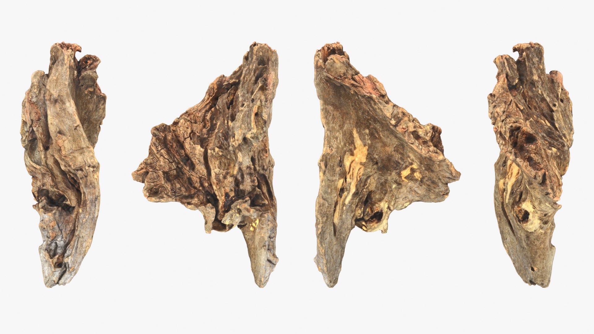 3D Tree Trunk Piece 04 model https://p.turbosquid.com/ts-thumb/QL/3TfAgt/8n/treetrunkpc04_0001b/png/1761790241/1920x1080/fit_q87/86787121f3efdb71b64d5b40e76d0f94550dccb7/treetrunkpc04_0001b.jpg