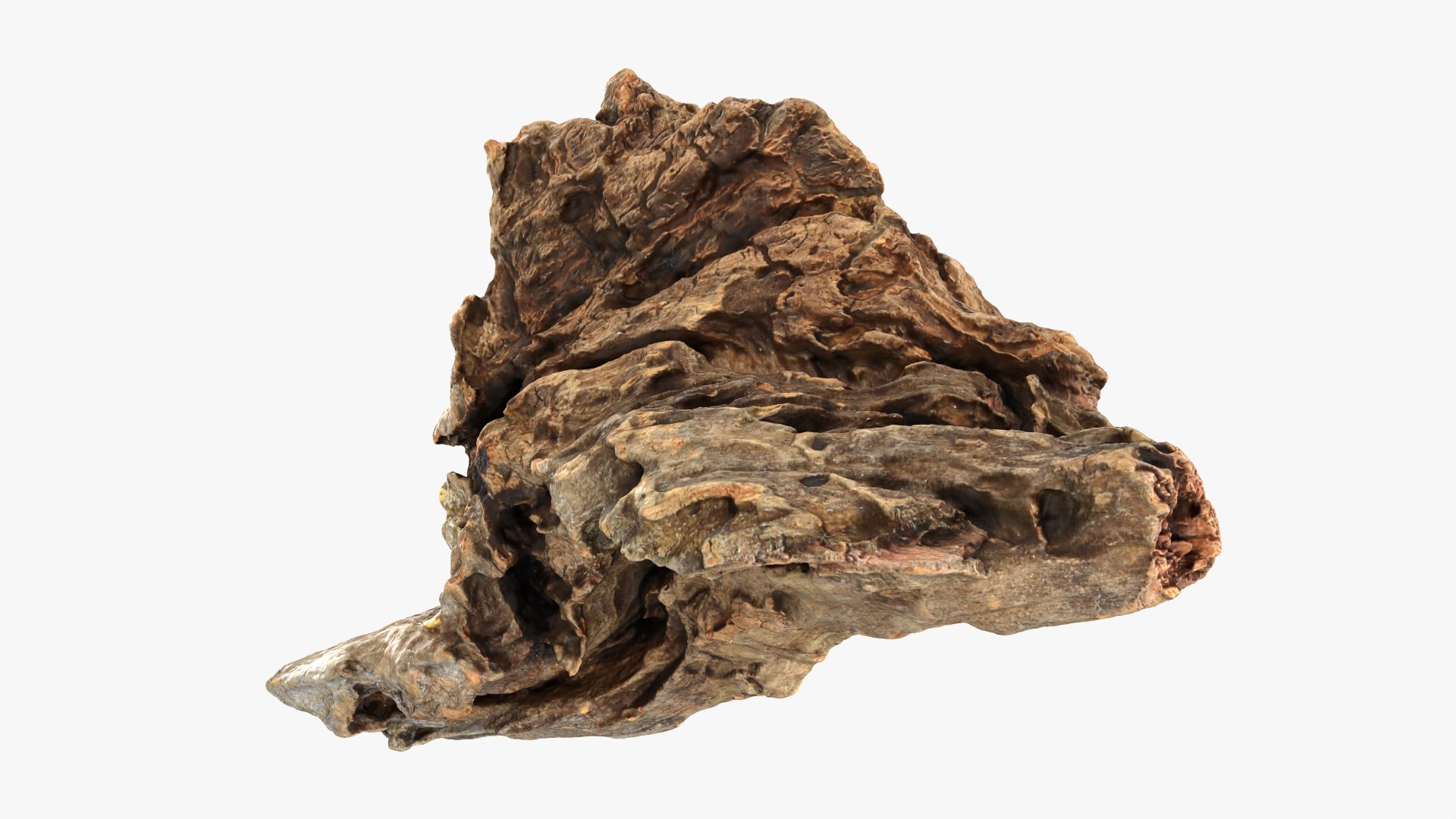 3D Tree Trunk Piece 04 model https://p.turbosquid.com/ts-thumb/QL/3TfAgt/Ep/treetrunkpc04_0005/png/1761790250/1920x1080/fit_q87/53e8bd2d207d5258bdc5fd9bf0e2e68d4435e775/treetrunkpc04_0005.jpg