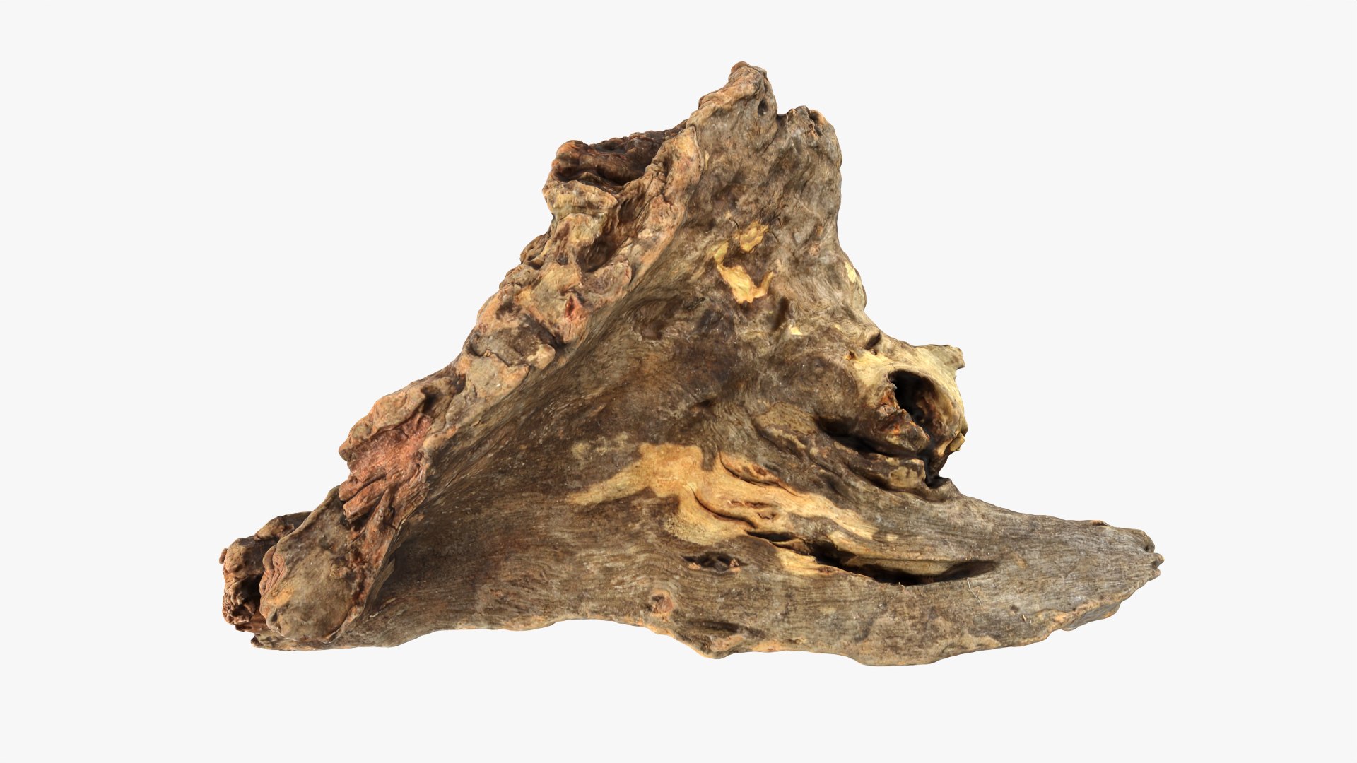 3D Tree Trunk Piece 04 model https://p.turbosquid.com/ts-thumb/QL/3TfAgt/FQ/treetrunkpc04_0002/png/1761790244/1920x1080/fit_q87/c3d810756f8221dab37bb72f4ba8af10991d1ba5/treetrunkpc04_0002.jpg