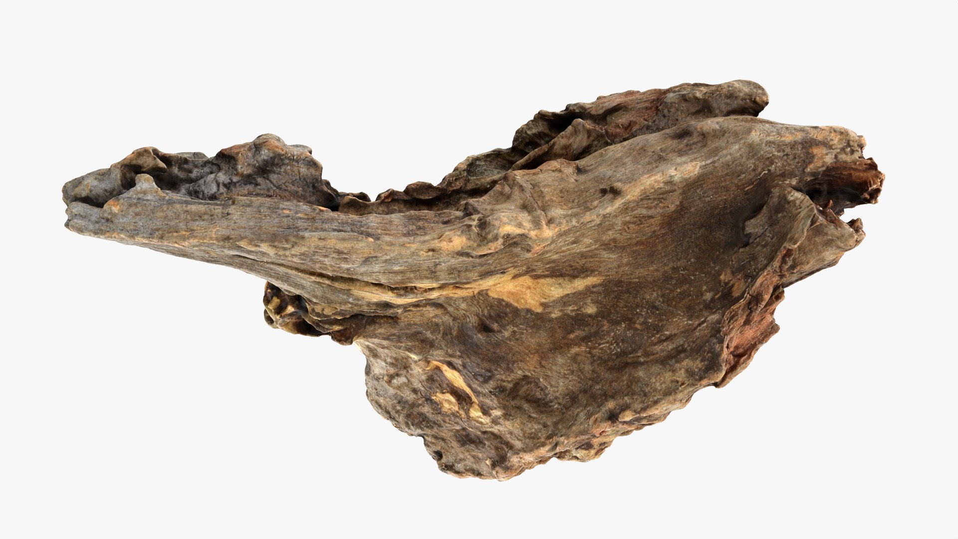 3D Tree Trunk Piece 04 model https://p.turbosquid.com/ts-thumb/QL/3TfAgt/K9/treetrunkpc04_0011/png/1761790261/1920x1080/fit_q87/7469361137aa27ccacba9ac30127f5433bca49bb/treetrunkpc04_0011.jpg