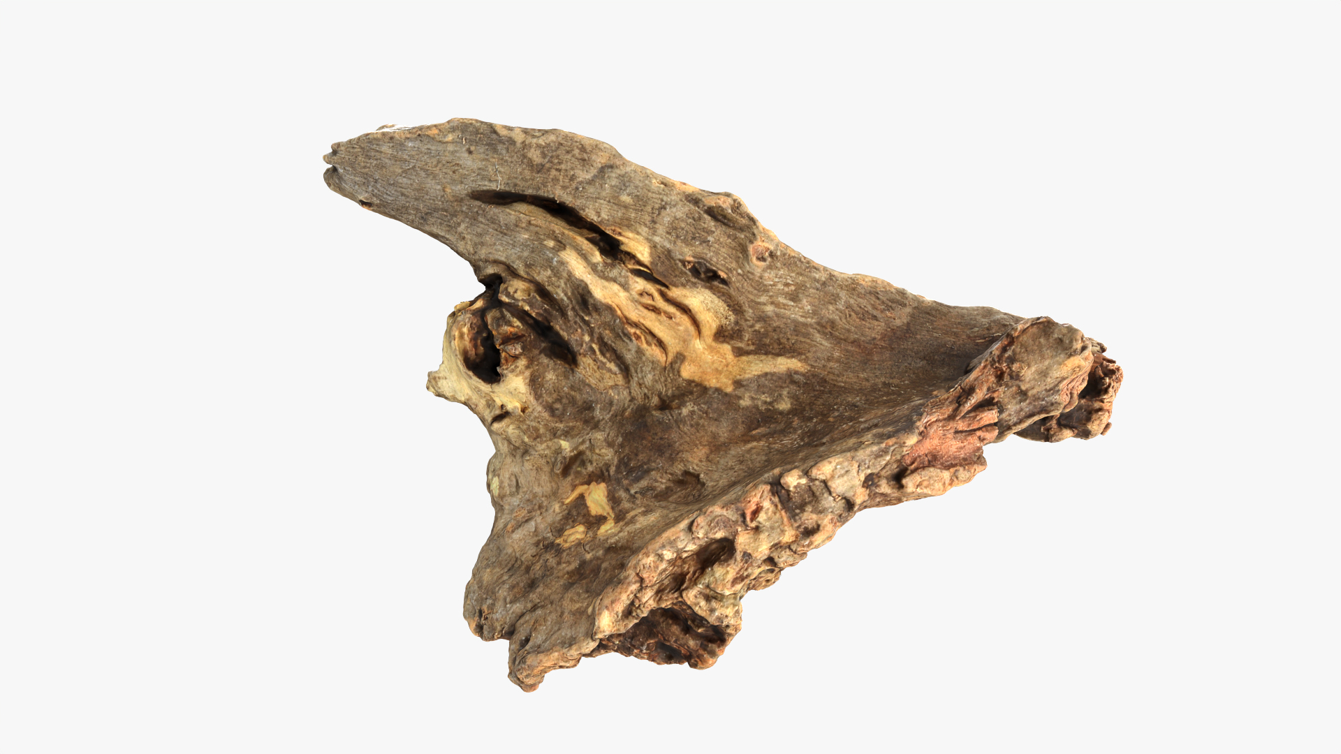3D Tree Trunk Piece 04 model https://p.turbosquid.com/ts-thumb/QL/3TfAgt/LG/treetrunkpc04/png/1763011537/1920x1080/turn_fit_q99/f86ce5ea605c52db06ee7e21c733c2b169ef597c/treetrunkpc04-1.jpg