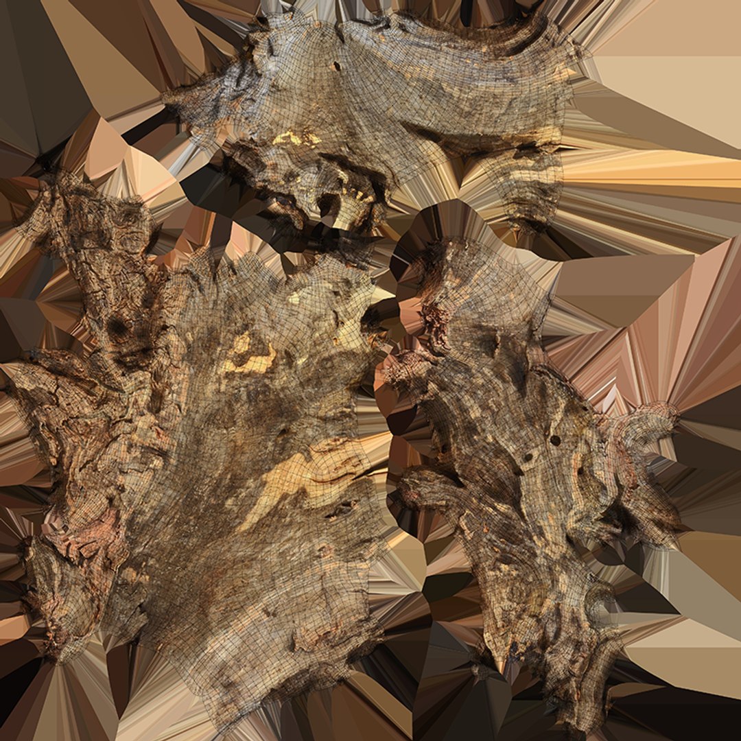 3D Tree Trunk Piece 04 model https://p.turbosquid.com/ts-thumb/QL/3TfAgt/Ni/treetrunkpc04_c0004/png/1761790261/1920x1080/fit_q87/46c2b375a85174f5166933e9f7e34f8c3c3698da/treetrunkpc04_c0004.jpg