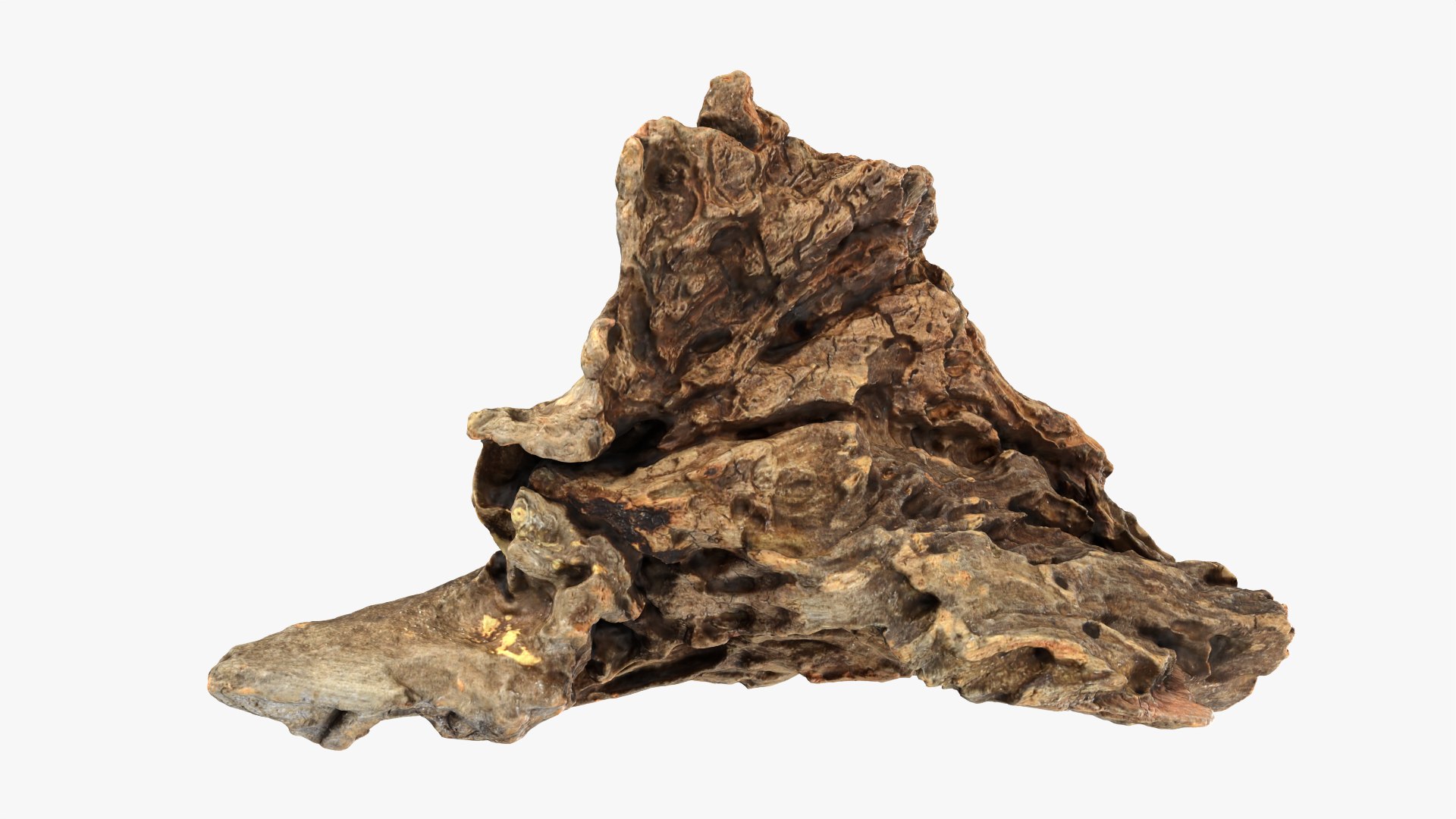 3D Tree Trunk Piece 04 model https://p.turbosquid.com/ts-thumb/QL/3TfAgt/SZ/treetrunkpc04_0006/png/1761790254/1920x1080/fit_q87/33cc3c00c10c3d4fd6457580c0f64ea8ad2bcfa3/treetrunkpc04_0006.jpg