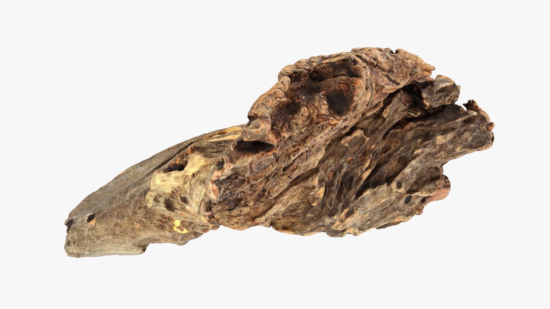 3D Tree Trunk Piece 04 model https://p.turbosquid.com/ts-thumb/QL/3TfAgt/U6/treetrunkpc04_0010/png/1761790260/1920x1080/fit_q87/2c24936bba71d35e58ebf412d42f4b79b978bbf0/treetrunkpc04_0010.jpg