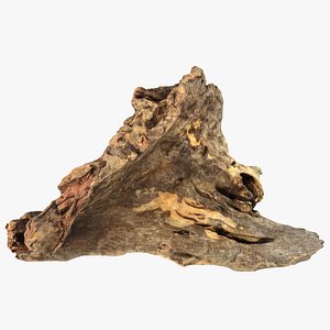 Tree Trunk Piece 04