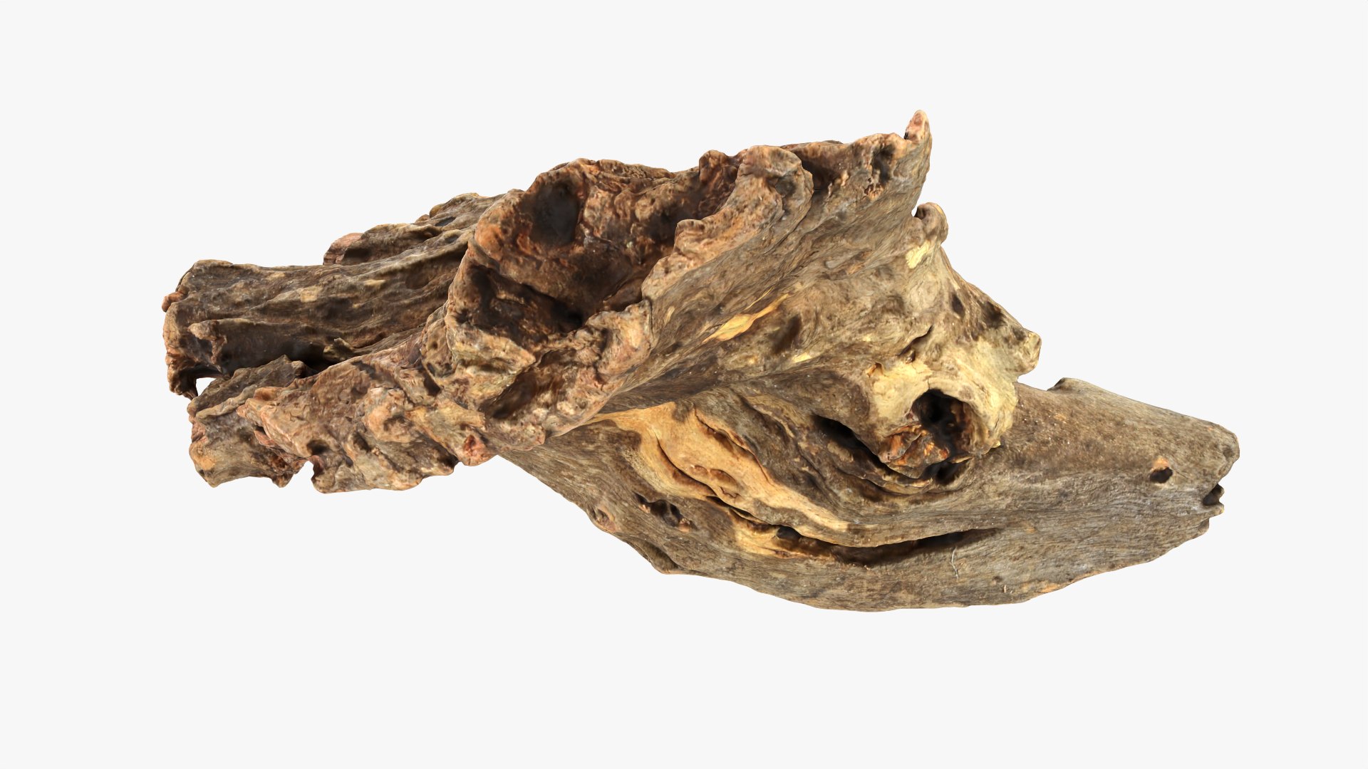3D Tree Trunk Piece 04 model https://p.turbosquid.com/ts-thumb/QL/3TfAgt/fG/treetrunkpc04_0003/png/1761790248/1920x1080/fit_q87/2891e64557f364dca8eaa9fc1be1950acafa12d1/treetrunkpc04_0003.jpg