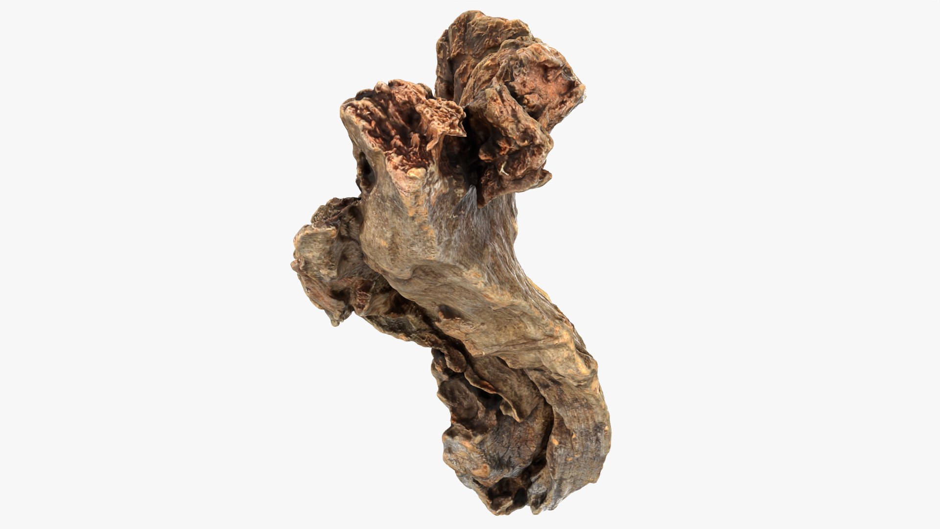 3D Tree Trunk Piece 04 model https://p.turbosquid.com/ts-thumb/QL/3TfAgt/h5/treetrunkpc04_0009/png/1761790257/1920x1080/fit_q87/27c924c75f02f6eb31d628c94f81ad7e15de37b5/treetrunkpc04_0009.jpg