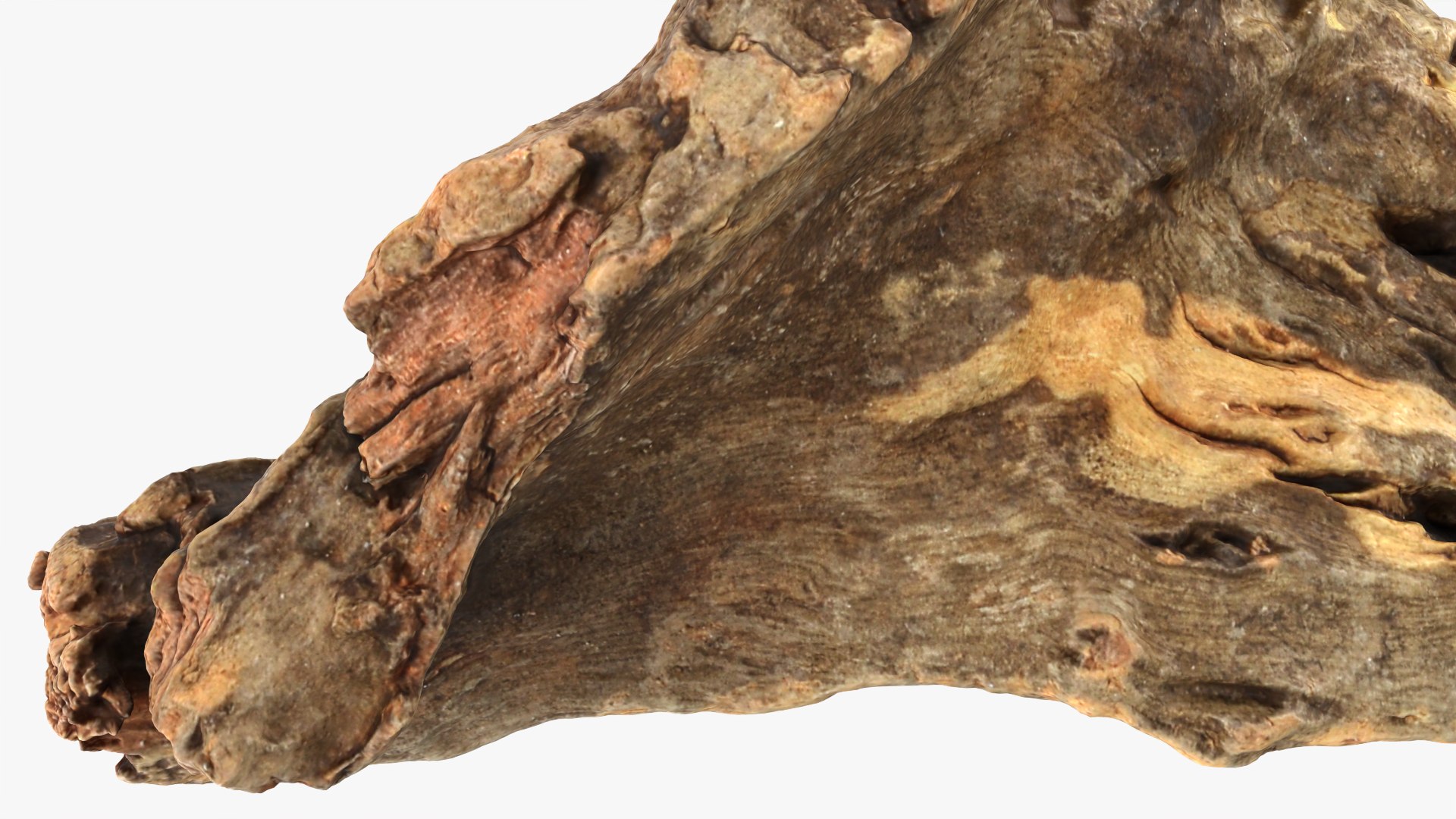 3D Tree Trunk Piece 04 model https://p.turbosquid.com/ts-thumb/QL/3TfAgt/je/treetrunkpc04_0012/png/1761790265/1920x1080/fit_q87/92b7e93c551cface32a40b49ef34932e0d031331/treetrunkpc04_0012.jpg