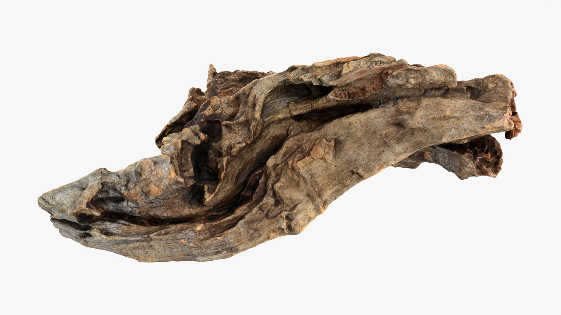3D Tree Trunk Piece 04 model https://p.turbosquid.com/ts-thumb/QL/3TfAgt/ye/treetrunkpc04_0004/png/1761790249/1920x1080/fit_q87/79ebf963780f219bd9f00fc083cc2e164e353f5d/treetrunkpc04_0004.jpg