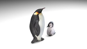 Penguin With Baby Penguin 3D model