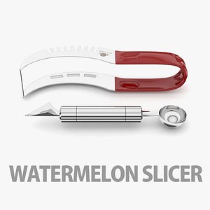 slicer 3D model