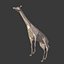 Girafe de bande dessinée basse poly