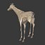 Girafe de bande dessinée basse poly