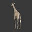 Girafe de bande dessinée basse poly
