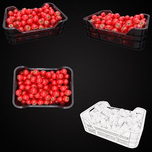 fresh red tomato plastic 3D model