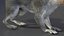Gray Squirrel Fur