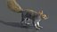 Gray Squirrel Fur