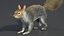 Gray Squirrel Fur
