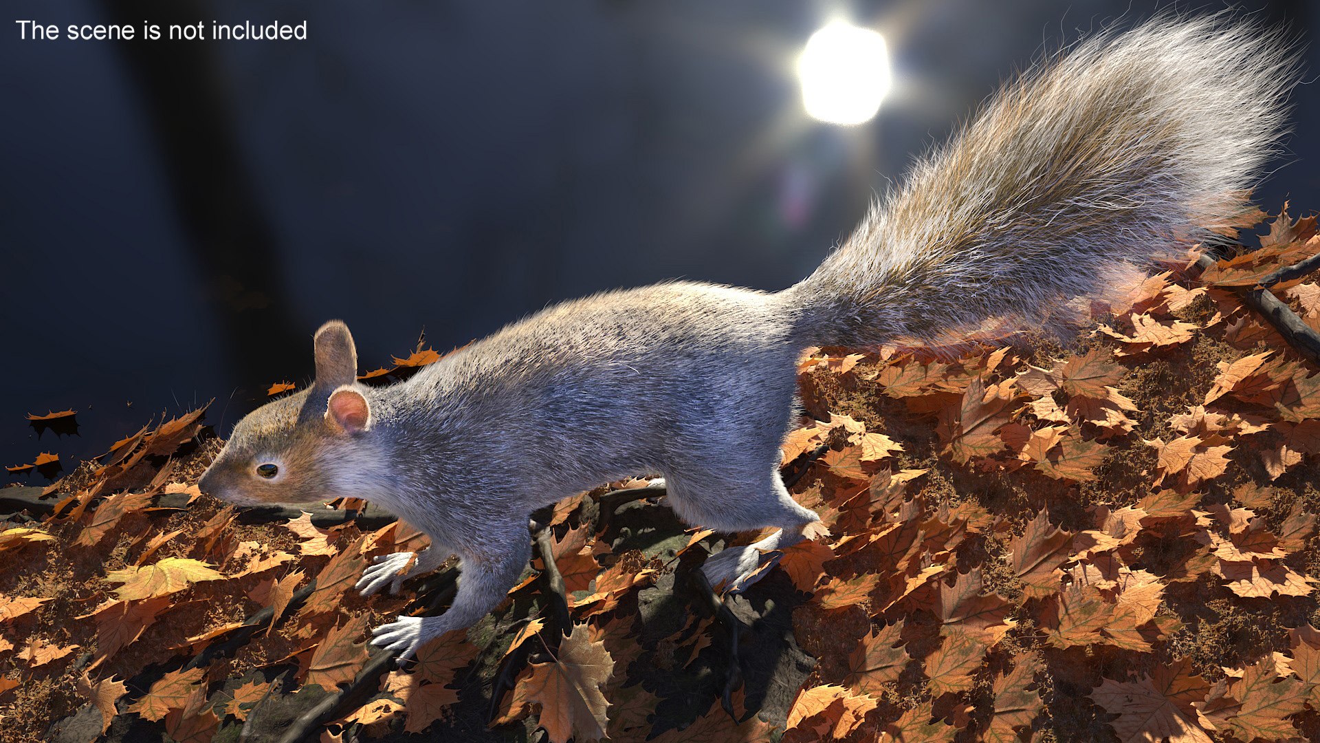 Gray Squirrel Fur model https://p.turbosquid.com/ts-thumb/QL/PwSO3h/fL/graysquirrelfurvray3dmodel002/jpg/1721598372/1920x1080/fit_q87/581a2d93abe032ebbf5af5c08b210120dd6e5a75/graysquirrelfurvray3dmodel002.jpg