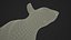 Gray Squirrel Fur