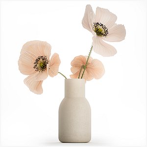 Beautiful Bouquet Of Beautiful Wild Flowers Poppy 468 3D model