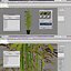 bamboo bush new