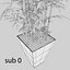 bamboo bush new