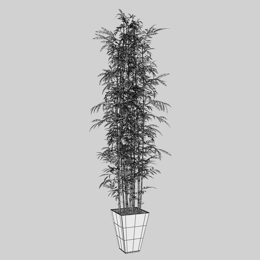 green bamboo 3d max https://p.turbosquid.com/ts-thumb/QL/nNkTN0/upelGSqX/bamboo_bush_green_010/jpg/1425307365/1920x1080/fit_q87/9091ccc23bc9e886964a0638d5d2b307d24c6642/bamboo_bush_green_010.jpg