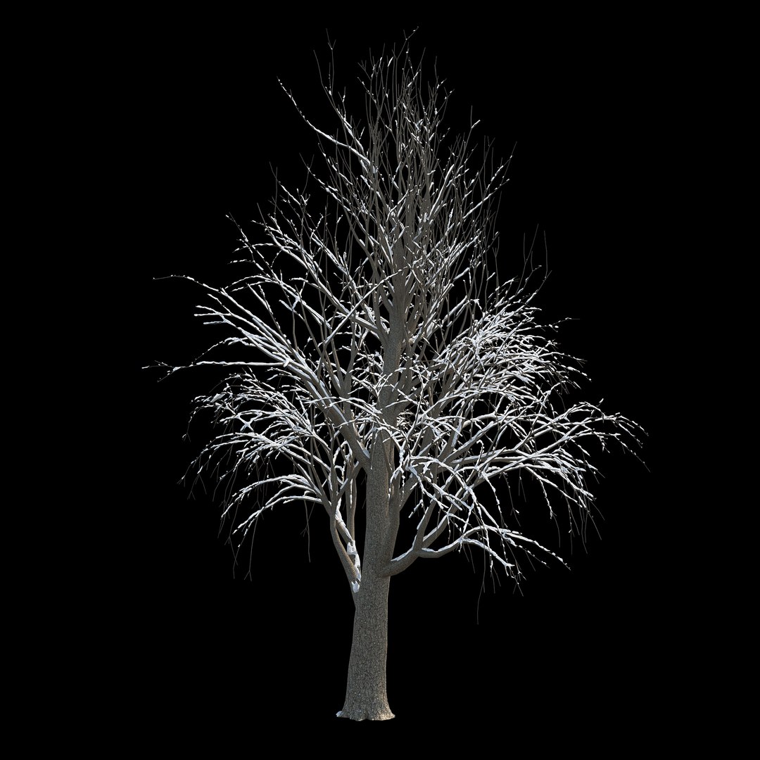 3D Winter Tree 030 Snow Model - TurboSquid 1235852