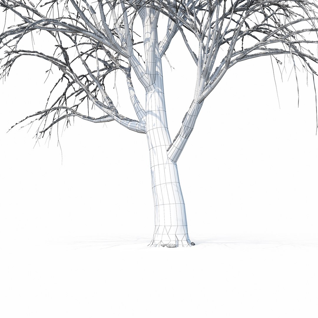 3D Winter Tree 030 Snow Model - TurboSquid 1235852