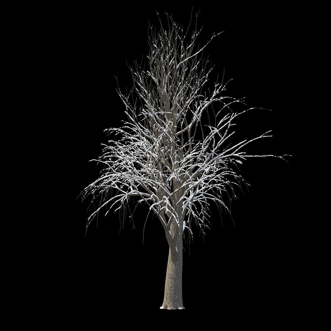 3D Winter Tree 030 Snow Model - TurboSquid 1235852