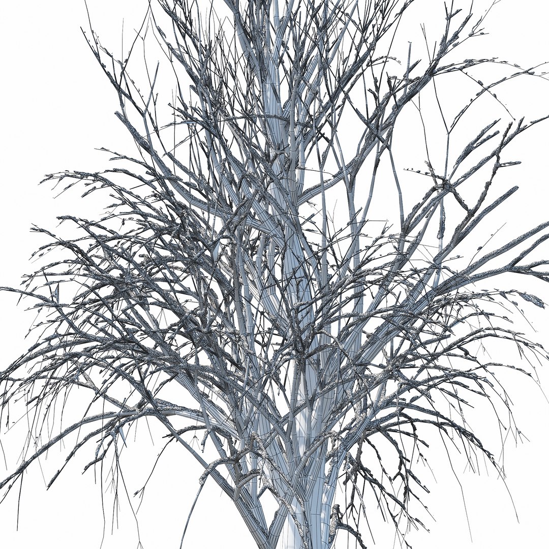 3D Winter Tree 030 Snow Model - TurboSquid 1235852