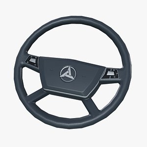 3D Steering