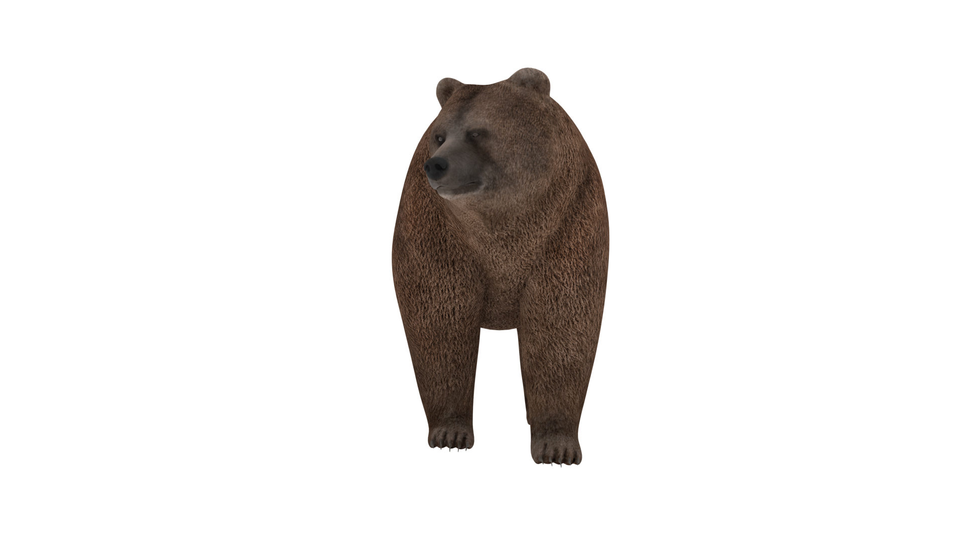 Bear animal 3D model TurboSquid 1670243