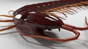 centipede 3D model