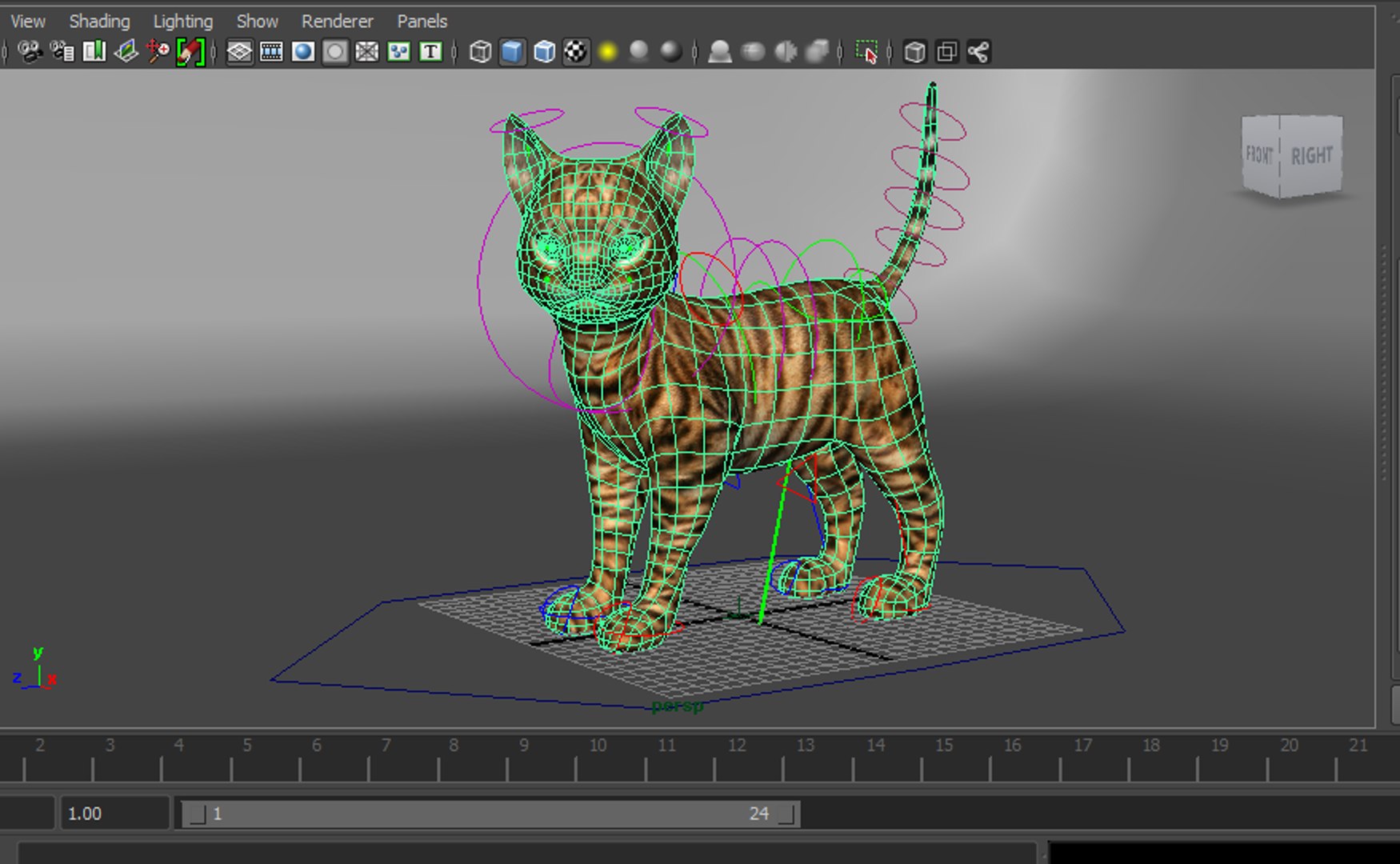 3D cat rigged animation model - TurboSquid 1204695