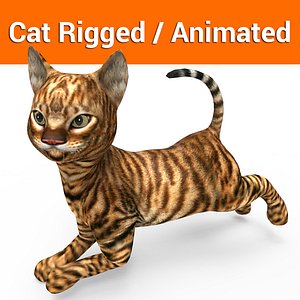 cute cat rigged animation