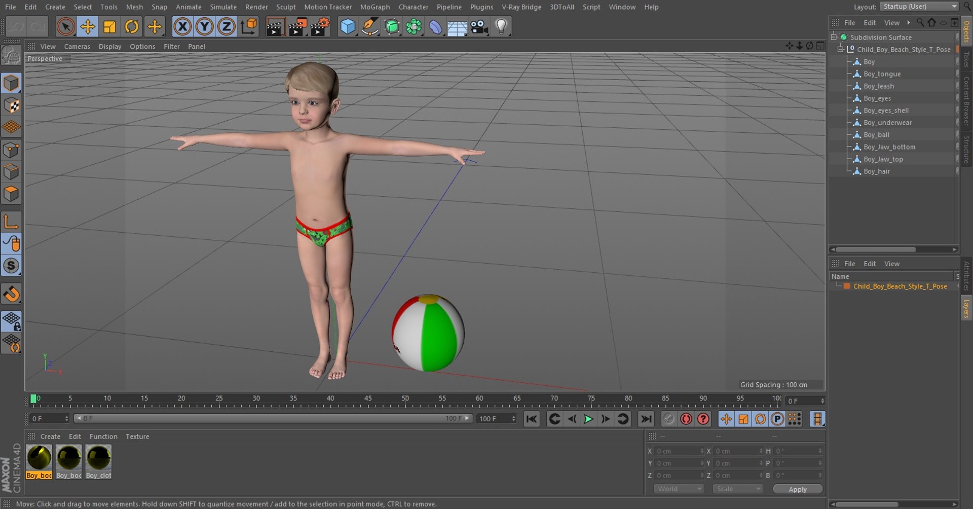 Child Boy Beach Style T-Pose model https://p.turbosquid.com/ts-thumb/QM/BR1br4/53/childboybeachstyletposec4dmodel031/jpg/1656110688/1920x1080/fit_q87/e611e16ce40a7f02865657779647d6900b4b8f54/childboybeachstyletposec4dmodel031.jpg