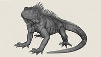 Wild Iguana Lizard Print Ready 3D Model