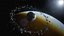 Pacchetto Asteroid Belt Ultimate Prop