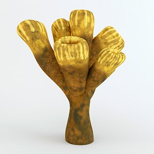 3d max sponge coral