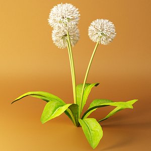 meadow nature 3D model