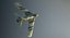 MiG-17F